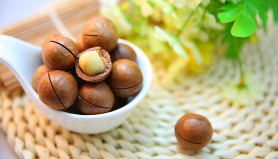 macadamia-nuts-1098170_1920